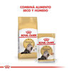Imagen de ALIMENTO BALANCEADO GATOS PERSIAN  GATO X 7,5 KG