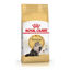 Imagen de ALIMENTO BALANCEADO GATOS PERSIAN  GATO X 1,5 KG