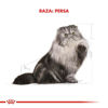Imagen de ALIMENTO BALANCEADO GATOS PERSIAN  GATO X 1,5 KG