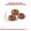 Imagen de ALIMENTO BALANCEADO GATOS FIT GATO x 15 KG