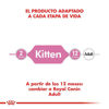 Imagen de ALIMENTO BALANCEADO GATOS KITTEN  x  1,5 KG