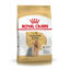 Imagen de ALIMENTO BALANCEADO PERROS YORKSHIRE ADULTO x 1 KG
