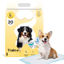 Imagen de ACCESORIOS PARA MASCOTAS - PEBTEBX20U PAÑO ENTRENAMIENTO BEEPAW TRAIN-E BIG X 20 U