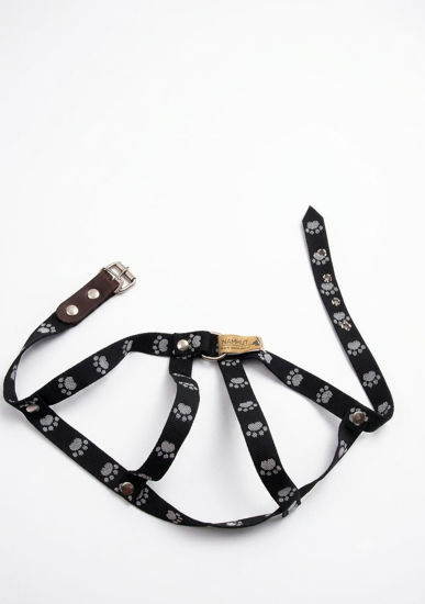 Imagen de ACCESORIOS PARA MASCOTAS PRETAL POLIPROP TALLE 4 X 2 CM