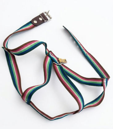 Imagen de ACCESORIOS PARA MASCOTAS PRETAL POLIPROP TALLE 7 X 3 CM