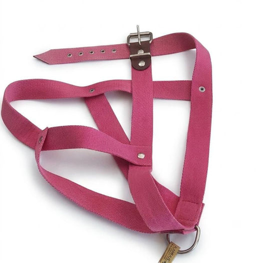 Imagen de ACCESORIOS PARA MASCOTAS PRETAL POLIPROP TALLE 8 X 3 CM