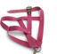Imagen de ACCESORIOS PARA MASCOTAS PRETAL POLIPROP TALLE 8 X 3 CM