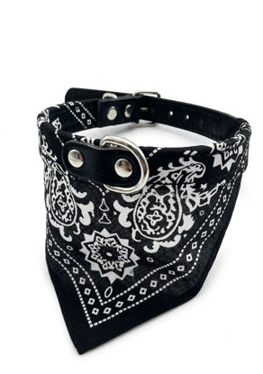 Imagen de ACCESORIOS PARA MASCOTAS COLLAR CON PAÑUELO CHICO