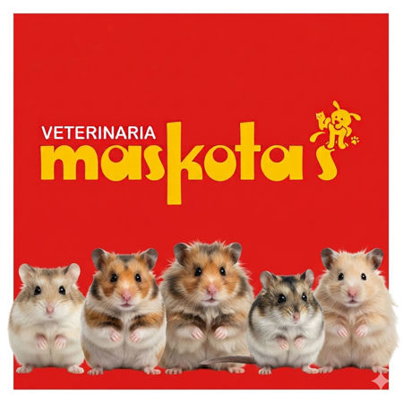 Imagen para la categoría Hamster